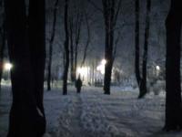 copaci-noaptea-7.jpg